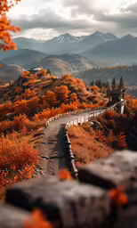 a pathway surrounded by fall foliage leading to mountains