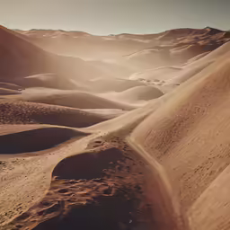 some sand dunes that are near the desert