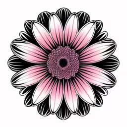 a flower is a circular object with petals,a pink and black flower in the center