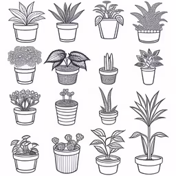 a collection of potted plants in various shapes and sizes,a bunch of potted plants with different designs
