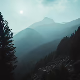 a foggy mountain range is shown with many trees