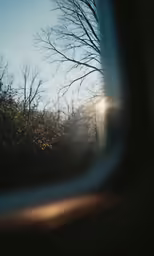 a close up image of a foggy forest with trees seen in the window