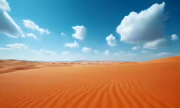 this photo is taken from the dunes to the sand in the distance