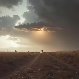 a person walking along a dirt road in the middle of the field
