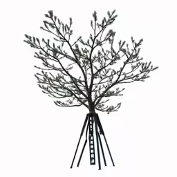 a pine tree with four ladders in the center
