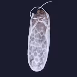 a white shoe that has a piece of paper inside it,a small shoe that has white lace hanging from it