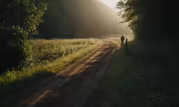a road with trees on both sides and some people standing on the side