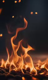 there is a fire burning on the ground