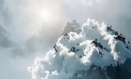 several different colored birds flying above a group of clouds