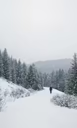 a person walking on the snow in the mountains
