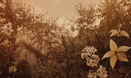 white flowers with brown leaves in the foreground