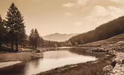 a river that is flowing through a wooded valley