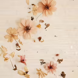 two pink flowers sitting on top of a white surface