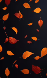 multiple autumn leaves floating on the surface of a black background
