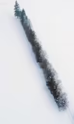 a lone person skiing down an icy slope