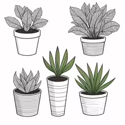 a set of potted plants in different types of pots