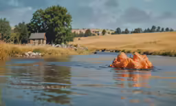 two pieces of orange paper floating on top of water