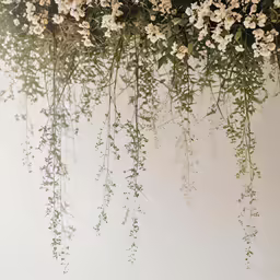 an image of a plant hanging up over wall