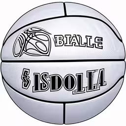 an official basketball with the logo on it,a white basketball is pictured in black and white