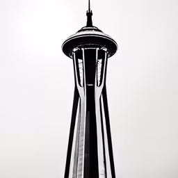 a black and white photo of a large tower