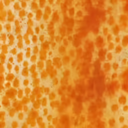 an abstract image of orange colored spots and spots on a wall