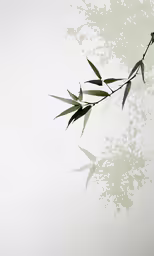 a branch with leaves in the water on a light green background