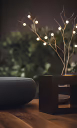 a small tree in front of a wooden surface