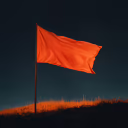 an orange flag blowing in the wind near the grass