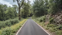 a long road runs between a small tree covered forest
