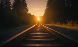 the sun is shining through trees on a train track