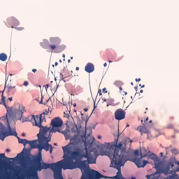 the pink flowers are blooming with purple leaves