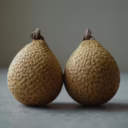 two brown gourds sitting on a gray table