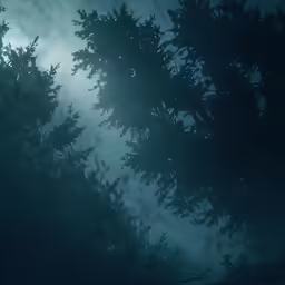 some very tall trees in the sky during night