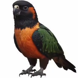 a colorful bird perched on top of a wooden pole