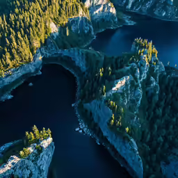 an aerial photo shows trees and a body of water