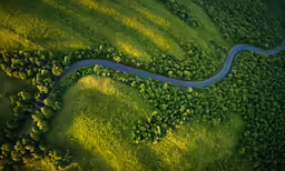 a scenic picture from above of a river and trees
