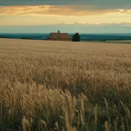 there is a building in the middle of the field