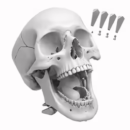 a white human head with an opening in the middle and several small bits on it