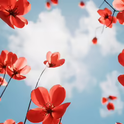 a group of red flowers are in the air