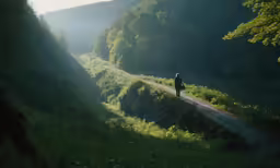 a person walking on a dirt road in a forest