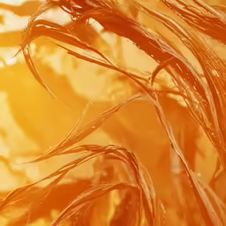the sun is reflecting off of a bunch of brown grass