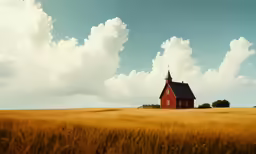 a church in a field of tall grass