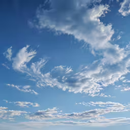 the sky is mostly clear for birds to use