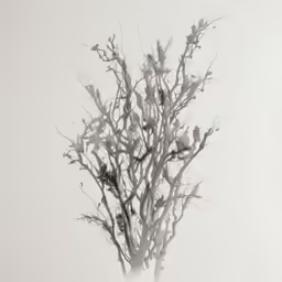 a picture of some white birds and a tree