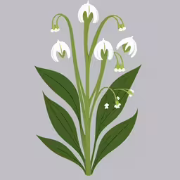 the illustration shows a bouquet of lilies with green leaves,a flower is shown with a gray background