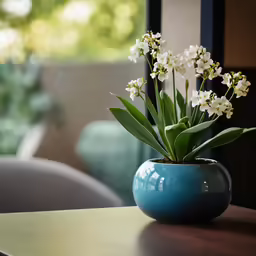 a small blue vase with white flowers sitting on a table