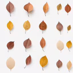 a variety of leaf patterns displayed on the back side of a wall