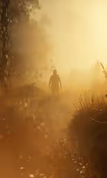 there is a man that is walking through the fog