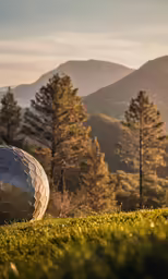 an oversized metallic ball on the grass with mountains in the background
