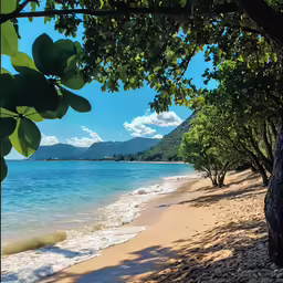 the view of the ocean and beach through trees